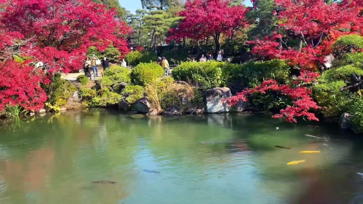 Japanese Garden in Autumn