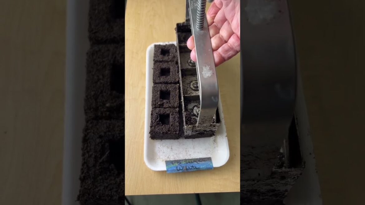 Comment SHOP and I’ll DM the link! 25% Off Garden Products* 15% Off Online Courses* Shop our