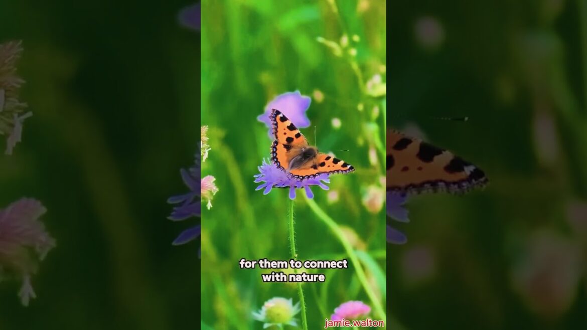 My Garden Plans & Projects for 2025… 🌱🎉 #vegetablegarden #gardeninspiration #growyourownfood