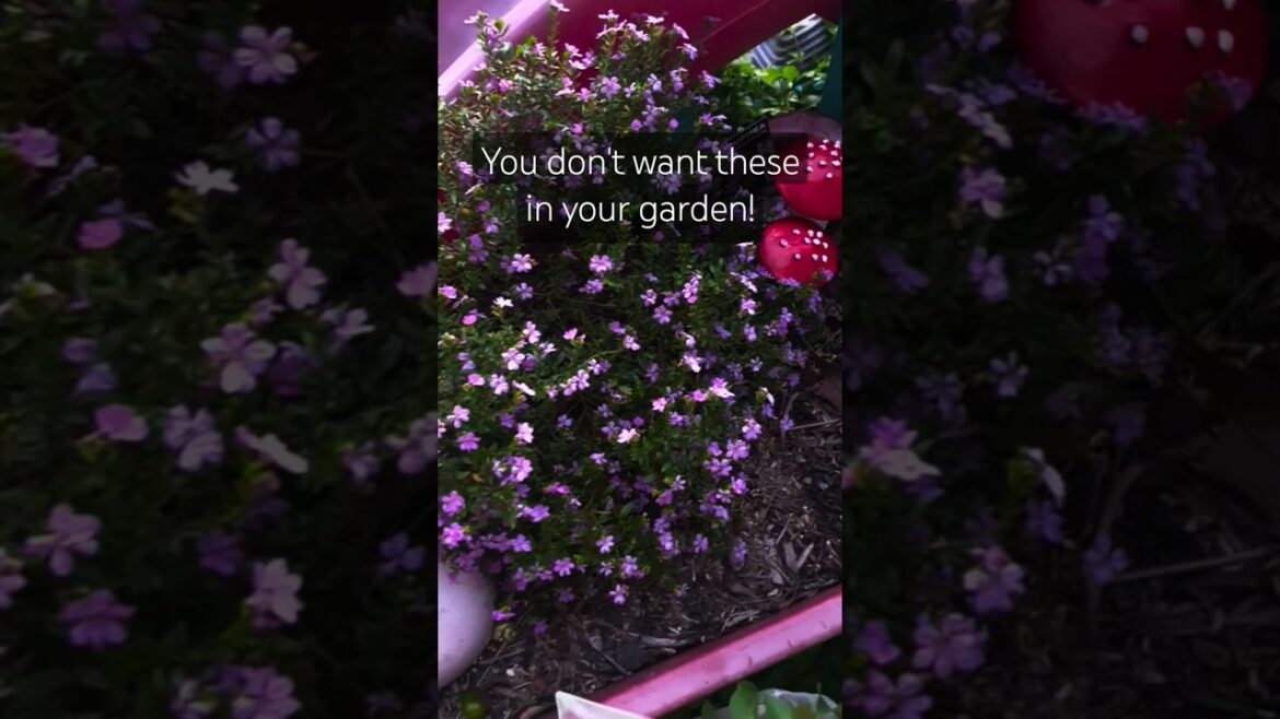 Easily REMOVE Grubs in the garden organically! #pestcontrol #beneficialinsects #gardeningtips