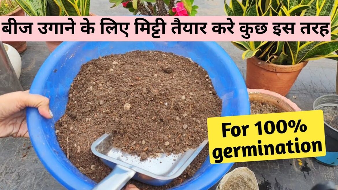 Make Your Own Seed starting Mix | how to make Seedling mix | बीज लगाने के लिए मिट्टी कैसे बनाएं Make Your Own Seed starting Mix | how to make Seedling mix | बीज लगाने के लिए मिट्टी कैसे बनाएं