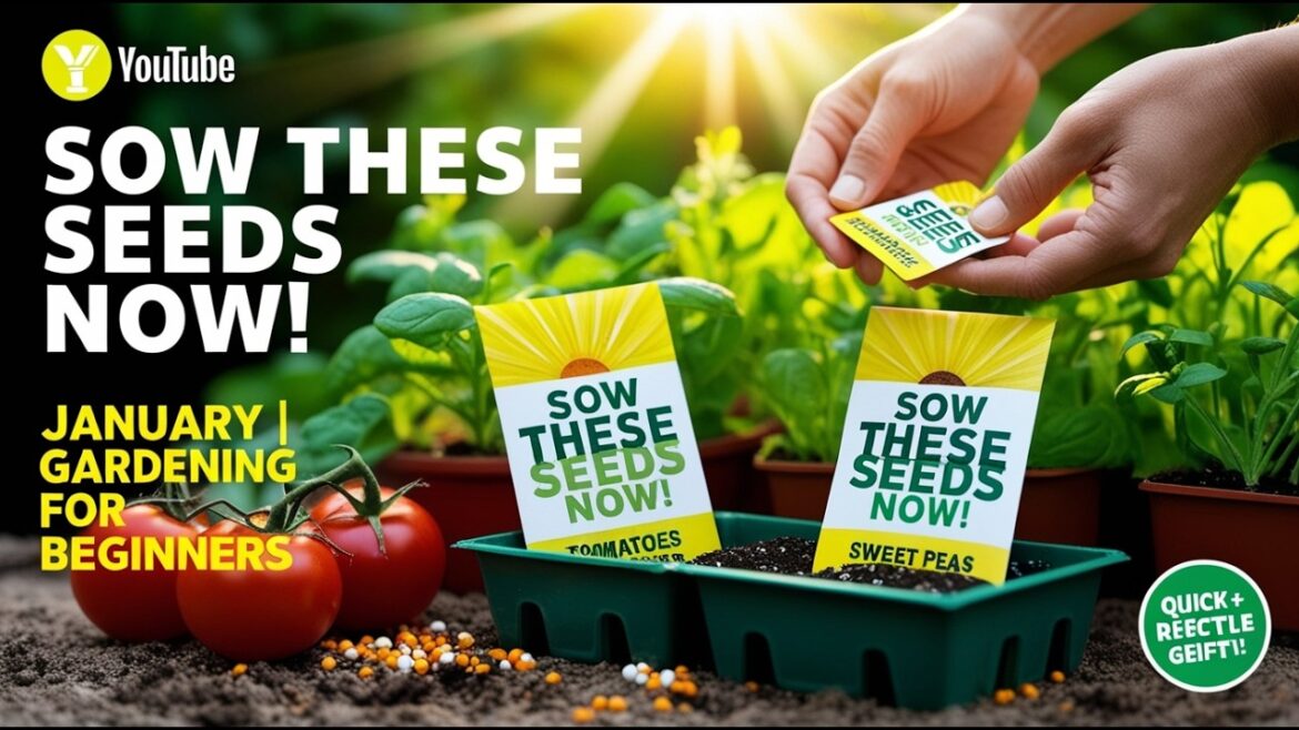 You MUST Sow These Seeds in January | Gardening for Beginners You MUST Sow These Seeds in January | Gardening for Beginners