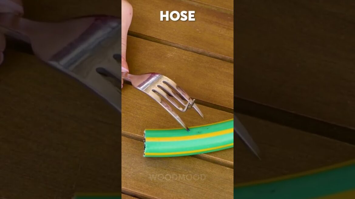 Quick and easy gardening trick to spend a pleasant time in the backyard 🌱