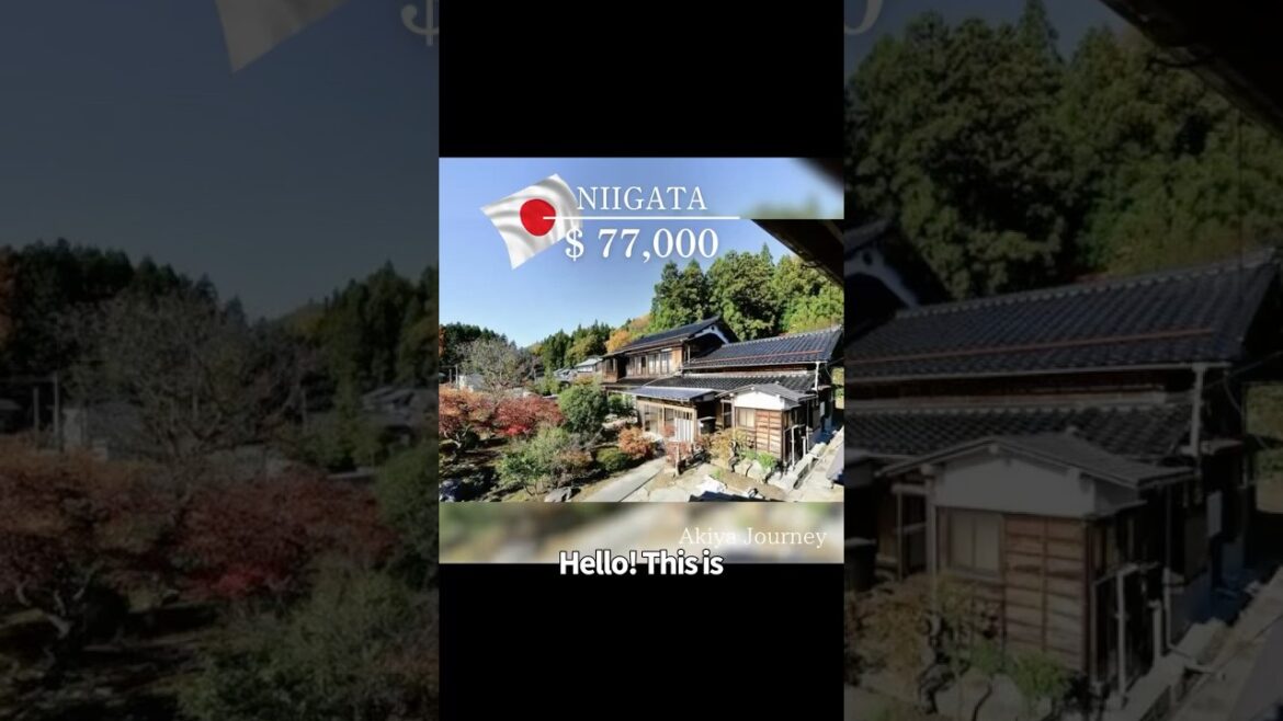 [Japanese Akiya Introduction #33] 77,000$! in Niigata #akiya #japan #abandonedhouseakiya