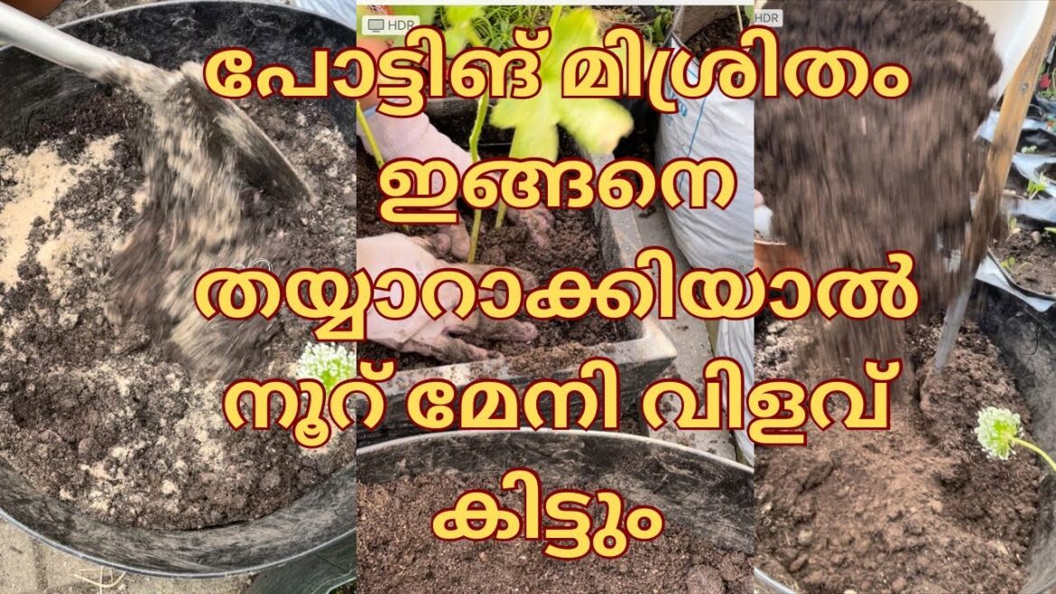 How to make potting mix for vegetables? Best organic potting mix. നൂറ് മേനി വിളവിന് മണ്ണ് ഒരുക്കാം.