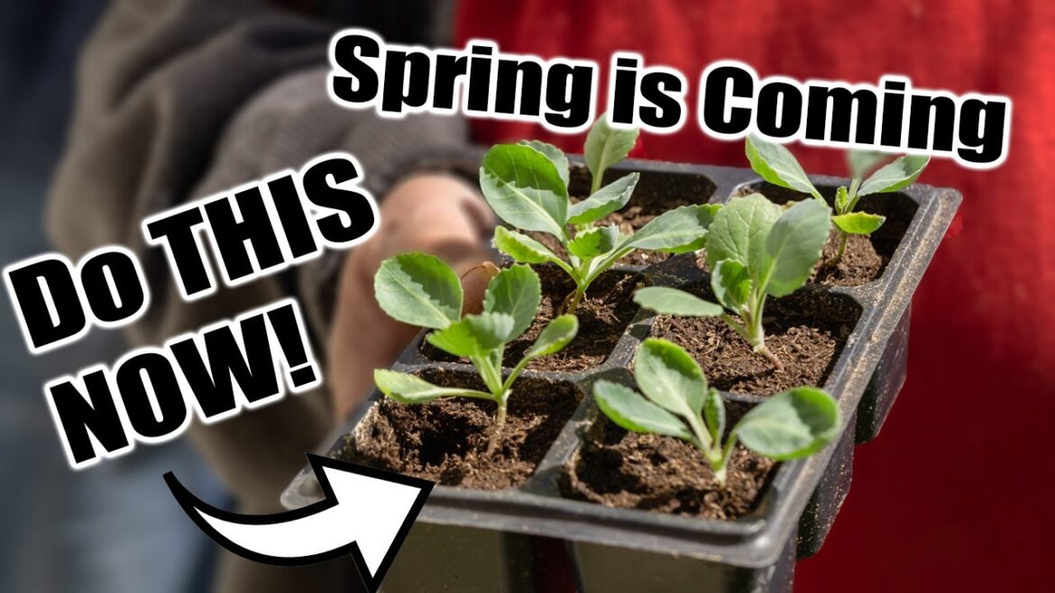 California Garden TV: Spring Garden Seed Starting Prep Spring Garden Seed Starting Prep