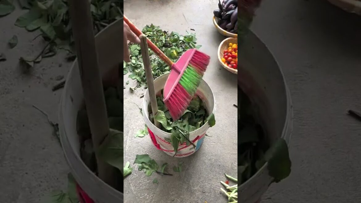 4191 🌺🌳🌱🥥🍁 #healthylifestyle #agriculturelife #johndeere #foodphotography #nature