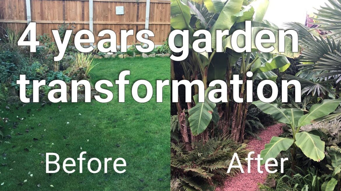 Garden transformation – our 4 year project Garden transformation - our 4 year project