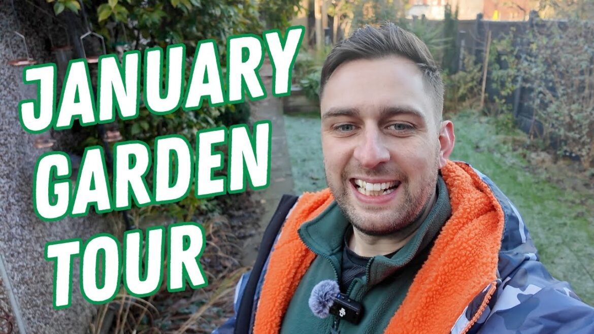 January Garden Tour – What is bring me joy in my garden in January? January Garden Tour - What is bring me joy in my garden in January?