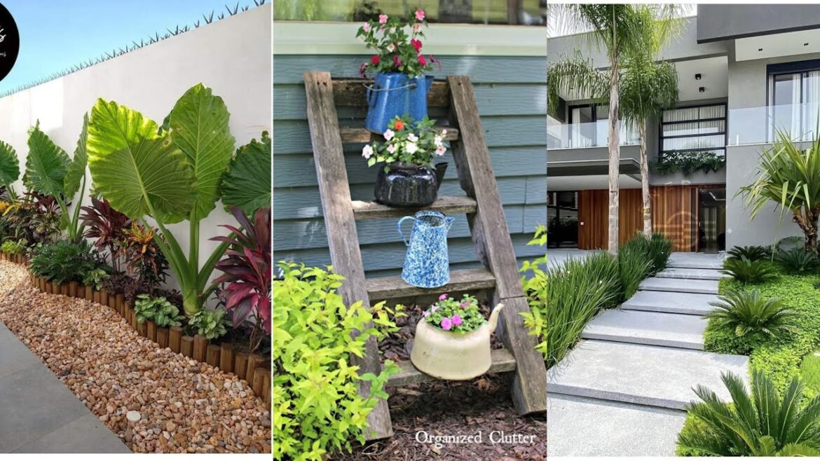 garden design,small garden,garden ideas,garden,small garden design,garden design ideas,small garden garden design,small garden,garden ideas,garden,small garden design,garden design ideas,small garden