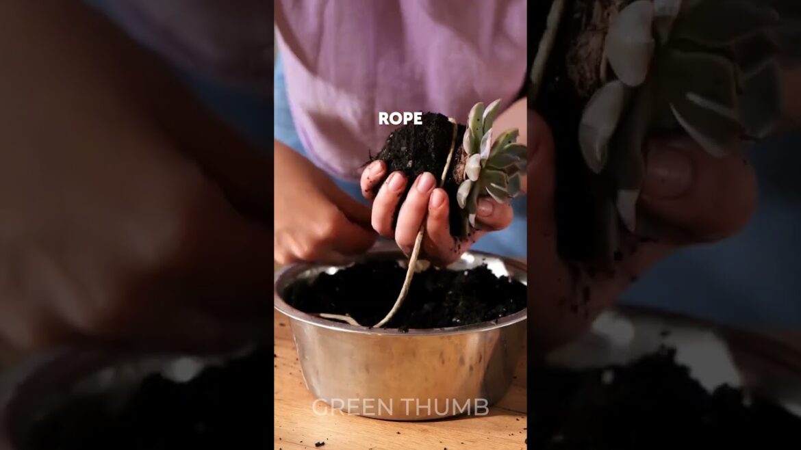 Unusual gardening tips and tricks for creative cozy space 🌷 Unusual gardening tips and tricks for creative cozy space 🌷