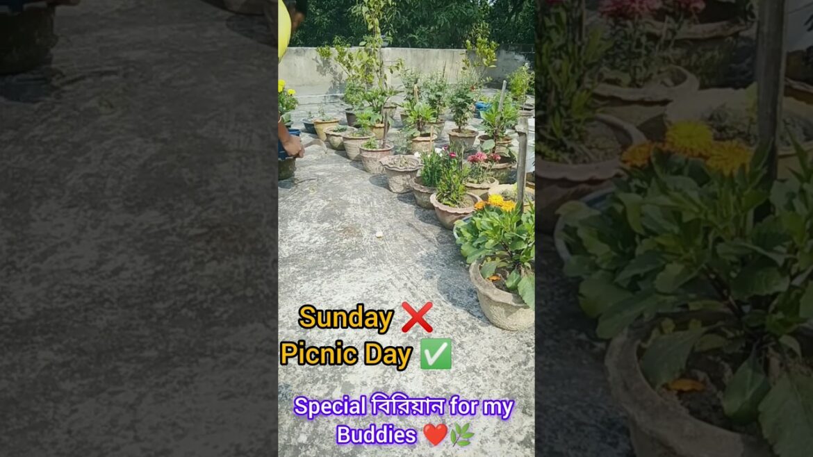 SUNDAY MORNING ROUTINE #minivlog #banglavlog #viralvideo #gardentips #gardenning #sunday #morning SUNDAY MORNING ROUTINE #minivlog #banglavlog #viralvideo #gardentips #gardenning #sunday #morning