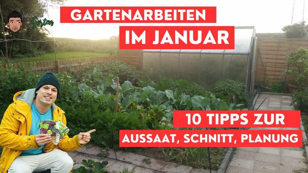 Gartenarbeiten Januar mit Aussaat, Planung und Vorbereitung Gartenarbeiten Januar mit Aussaat, Planung und Vorbereitung
