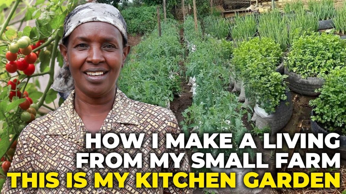 Kitchen Garden Ideas: How to Set Up A Small Scale Vegetable Garden Kitchen Garden Ideas: How to Set Up A Small Scale Vegetable Garden