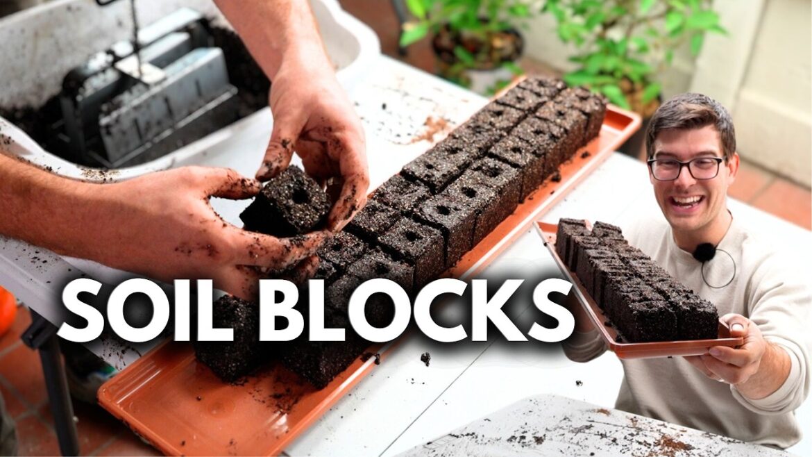 MIgardener: Start Seeds With Nothing But SOIL and PRESSURE! Start Seeds With Nothing But SOIL and PRESSURE!