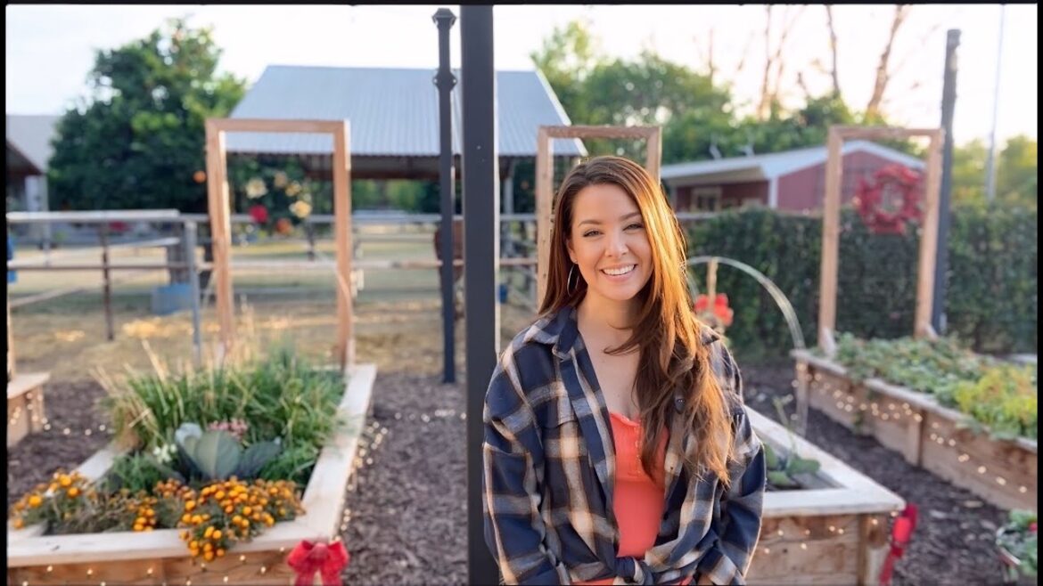 Pruning Pepper Plants for Winter / Garden Harvesting: Winter Prep & Future Plans Pruning Pepper Plants for Winter / Garden Harvesting: Winter Prep & Future Plans