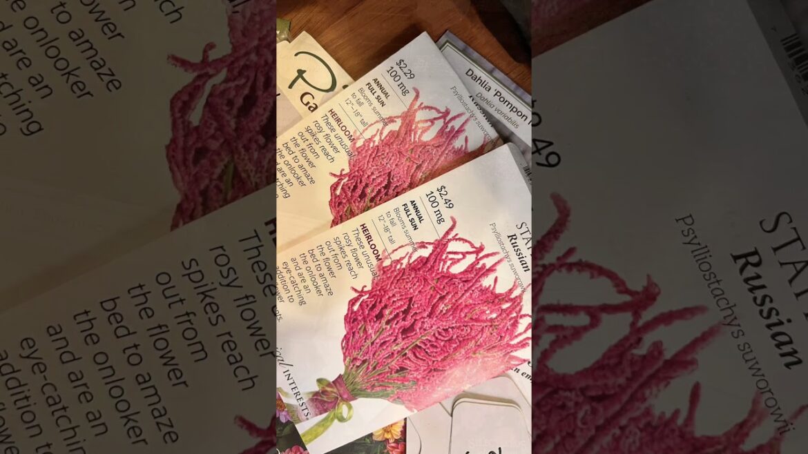 Container Garden - Seed Starting