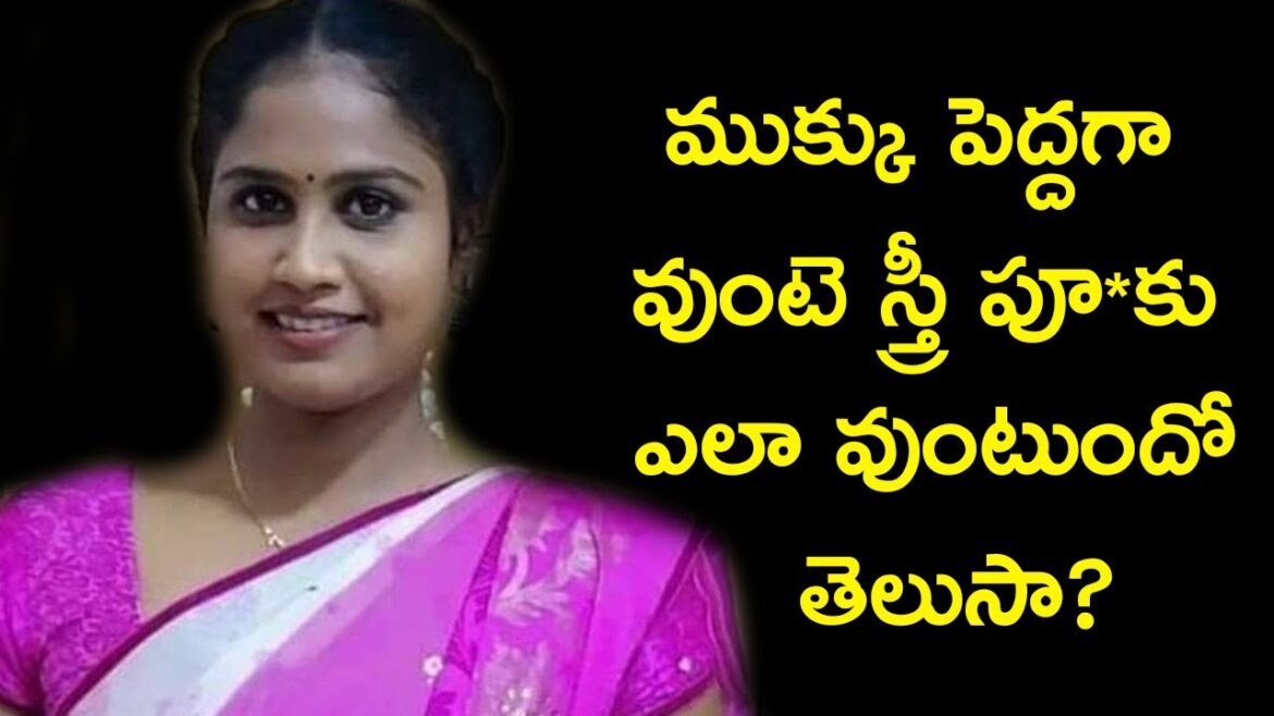 The Flower Garden Tips to Create a Beautiful Paradise The Flower Garden Tips to Create a Beautiful Paradise