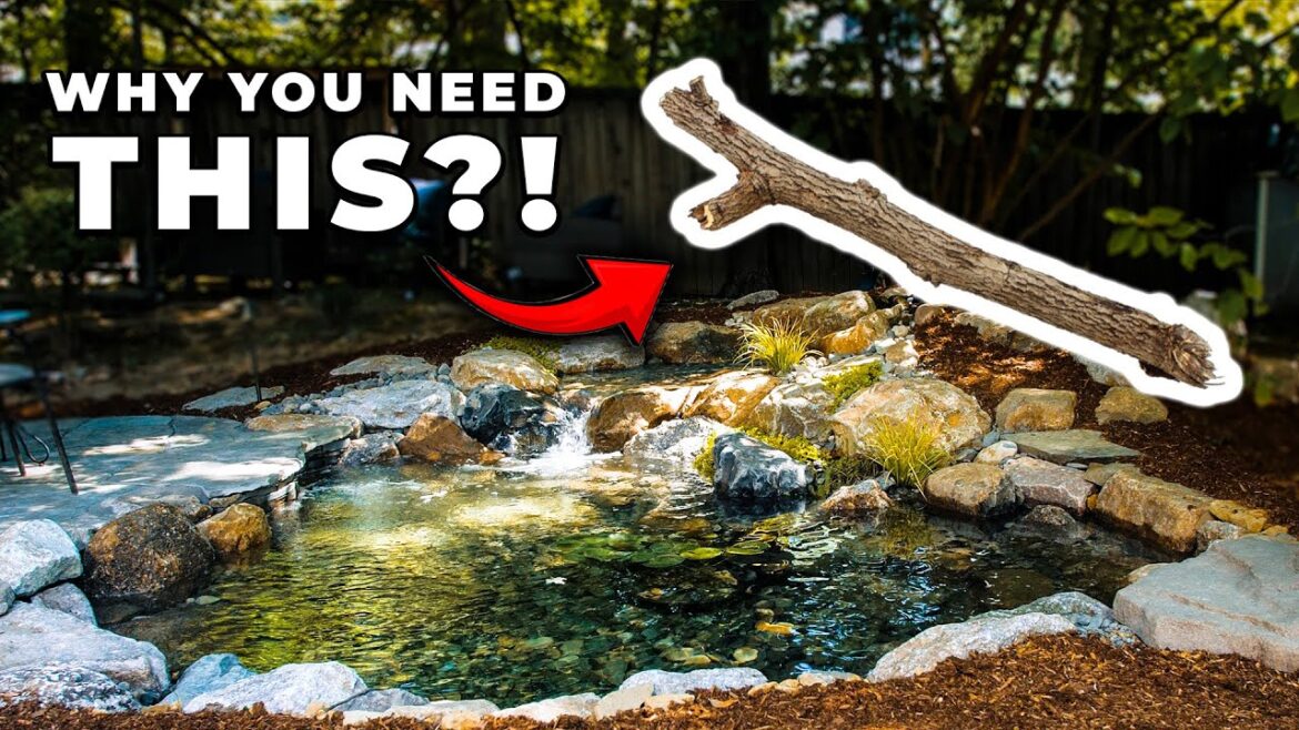 We Transformed this Blank Backyard into a Jaw-Dropping Pond Paradise! | How?