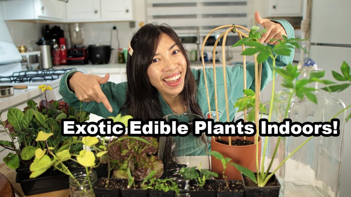 Want a THRIVING Indoor Garden? Watch This Now!