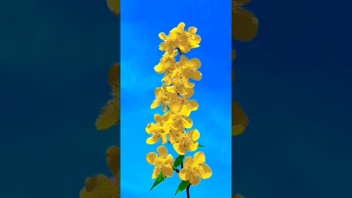 Japanese kerria yellow#youtubeshorts #lyrics #flower #trending #gardening #song #nature #music