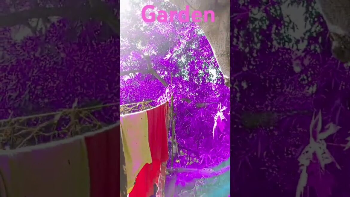 Garden supplies #automobile