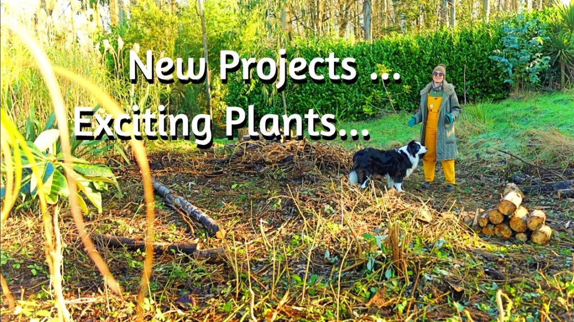 PERMACULTURE GARDENING Future Plans & NEW PROJECTS - Self Sufficient Living UK