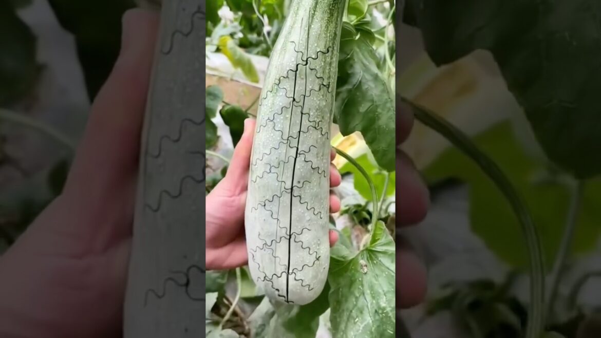 The Future of Fruit Farming: Trends You Can’t Miss🍊🍓🍎🥭#fruit#nature#fruitlife#satusfying#shorts