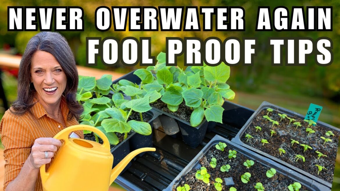 Never Overwater Again: Foolproof Tips for Watering Indoor Seedlings