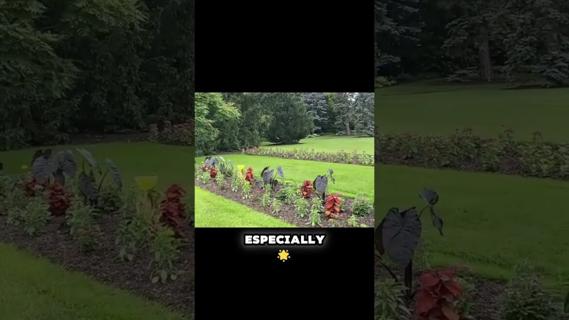 Seasonal Changes at Hershey Gardens  #botanicalgarden #hershey #shorts