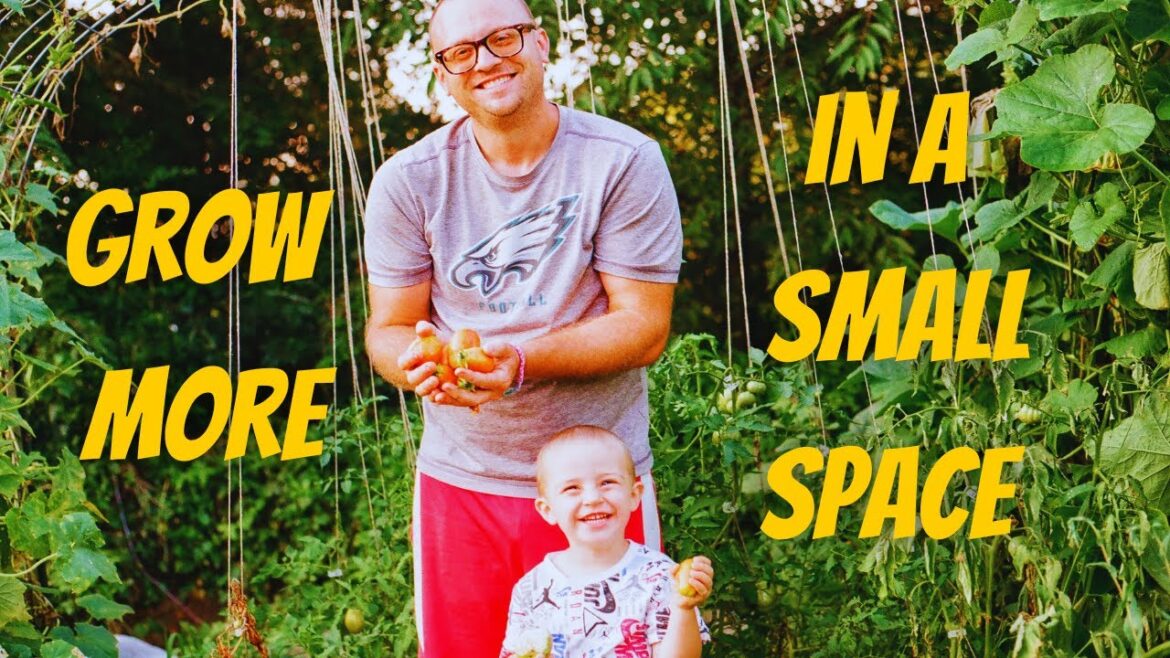 10 Hacks to Grow More Food in a Small Space 10 Hacks to Grow More Food in a Small Space