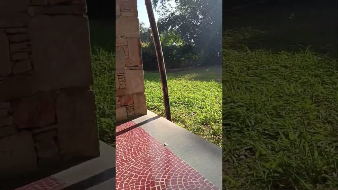 Beutiful #nature #gardenlandscape #home