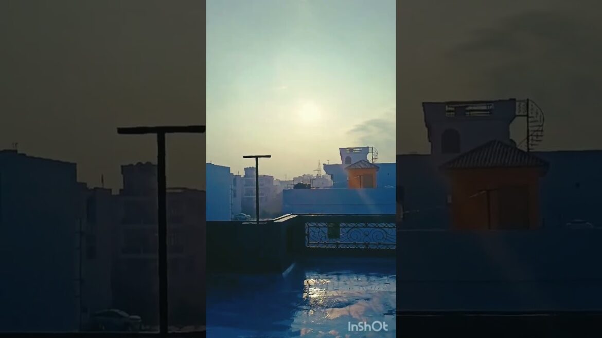 Winter Gardening: Tips for Your Backyard