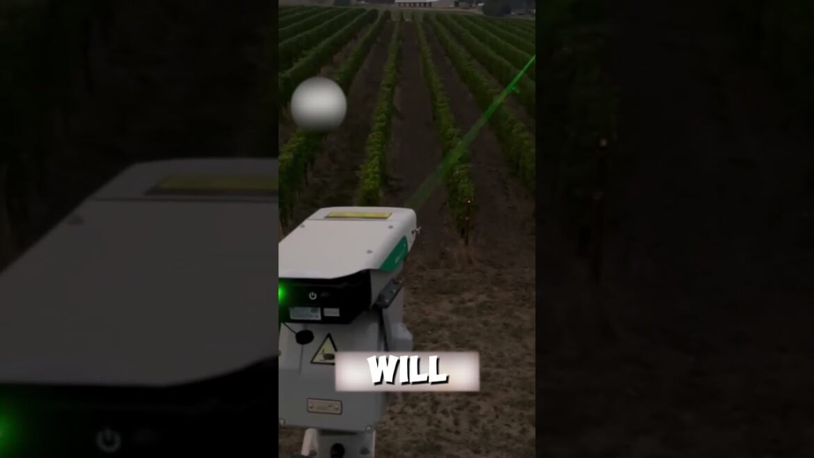 Laser-Powered Plant Protection! 🌱🔫