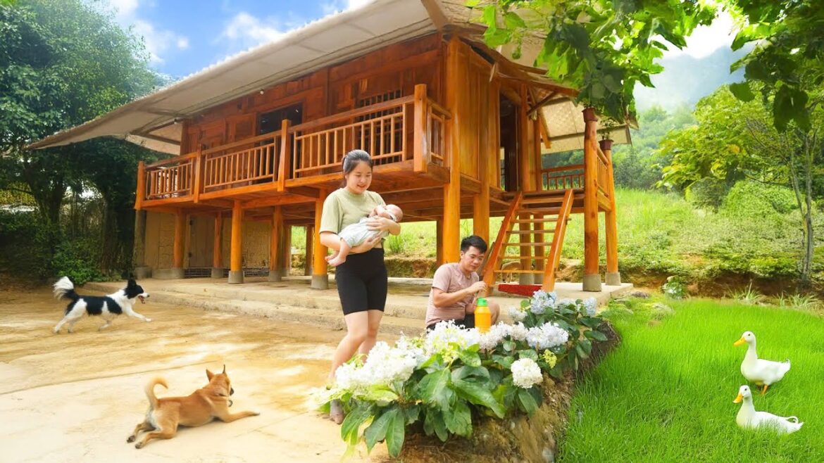 Vegetable Gardening Using Wooden Molds, Planting Decorative Flowers, ĐÀO Building Life