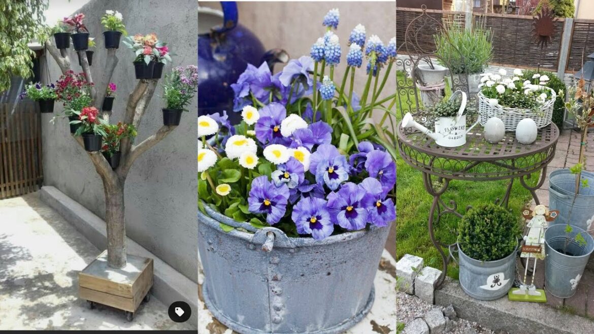 garden design,small garden,garden ideas,garden,small garden design,garden design ideas,small garden