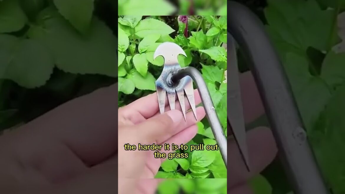 Subscribe for more such Gardening Tips & Ideas 👈🍁 #garden #gardening #gardeningideas #gardeningtips