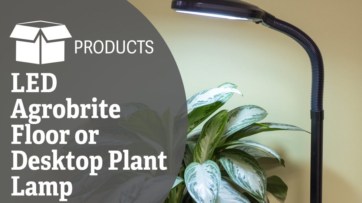 LED Agrobrite Floor or Desktop Plant Lamp
