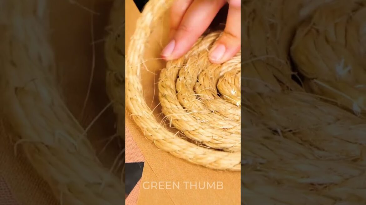 Unbelievable Indoor Tips for Beautiful Plants and Cozy Space Unbelievable Indoor Tips for Beautiful Plants and Cozy Space