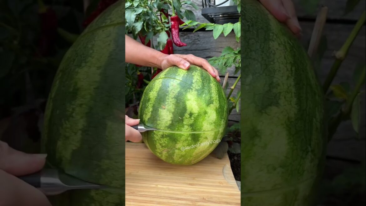 Watermelon ๐ฑ๐๐ #shorts #satisfying #fruit #fruitcutting Watermelon ๐ฑ๐๐ #shorts #satisfying #fruit #fruitcutting