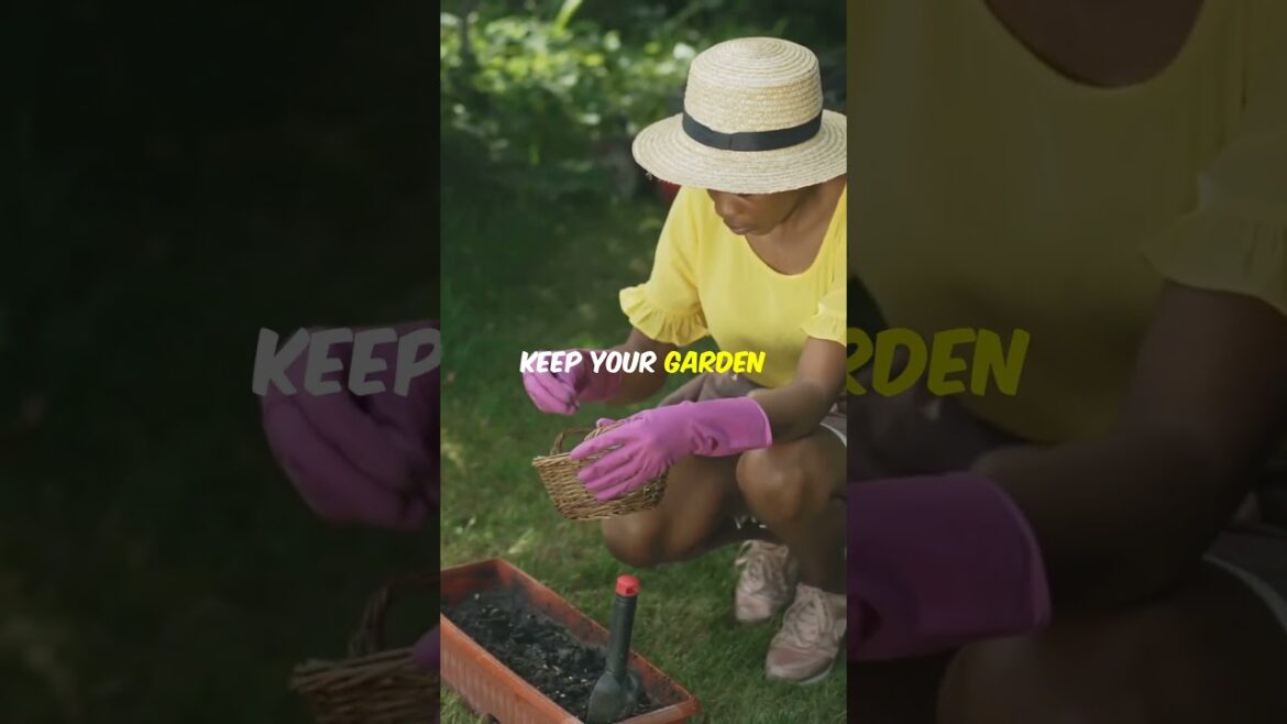 🌱 17 Cheap Container Vegetable Gardening Ideas That Will Transform Your Garden for Less! 🌱