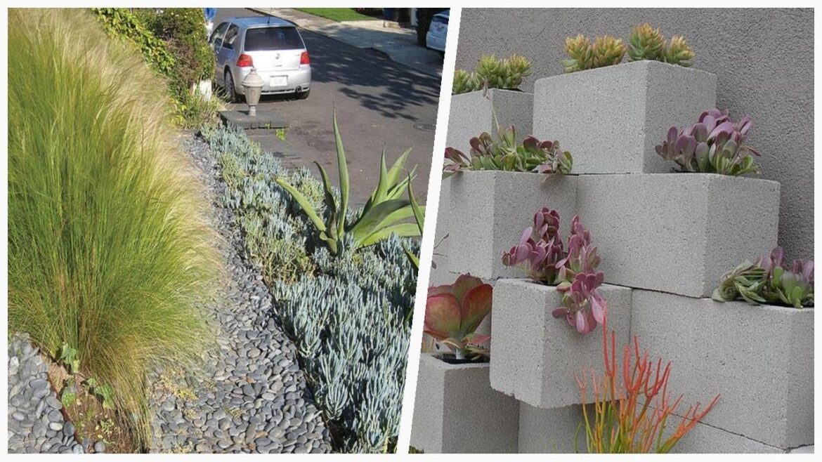 75 Gray Drought-tolerant Landscaping Design Ideas You’ll Love 😊 75 Gray Drought-tolerant Landscaping Design Ideas You'll Love 😊