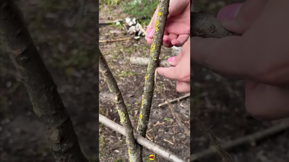 Talented Girl Shows How to Survive Alone