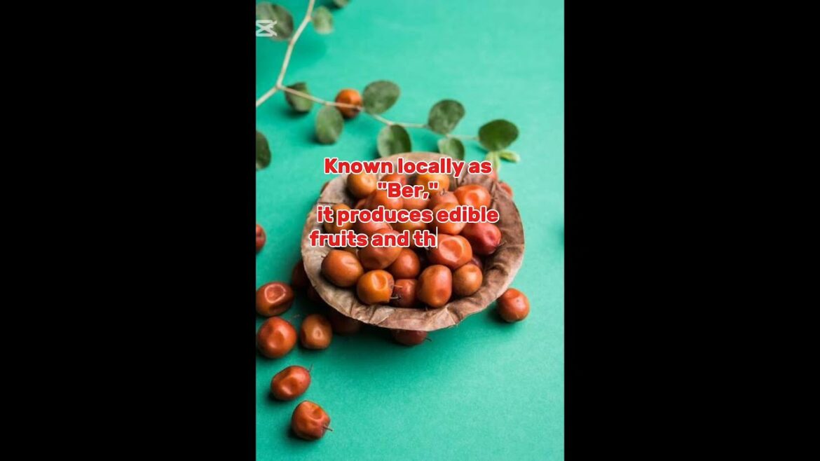 10 hardy plants that are growing in water | easy growing plants | water loving plants