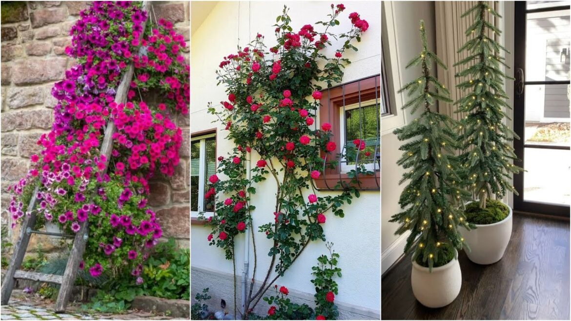 garden design,small garden,garden ideas,garden,small garden design,garden design ideas,small garden garden design,small garden,garden ideas,garden,small garden design,garden design ideas,small garden