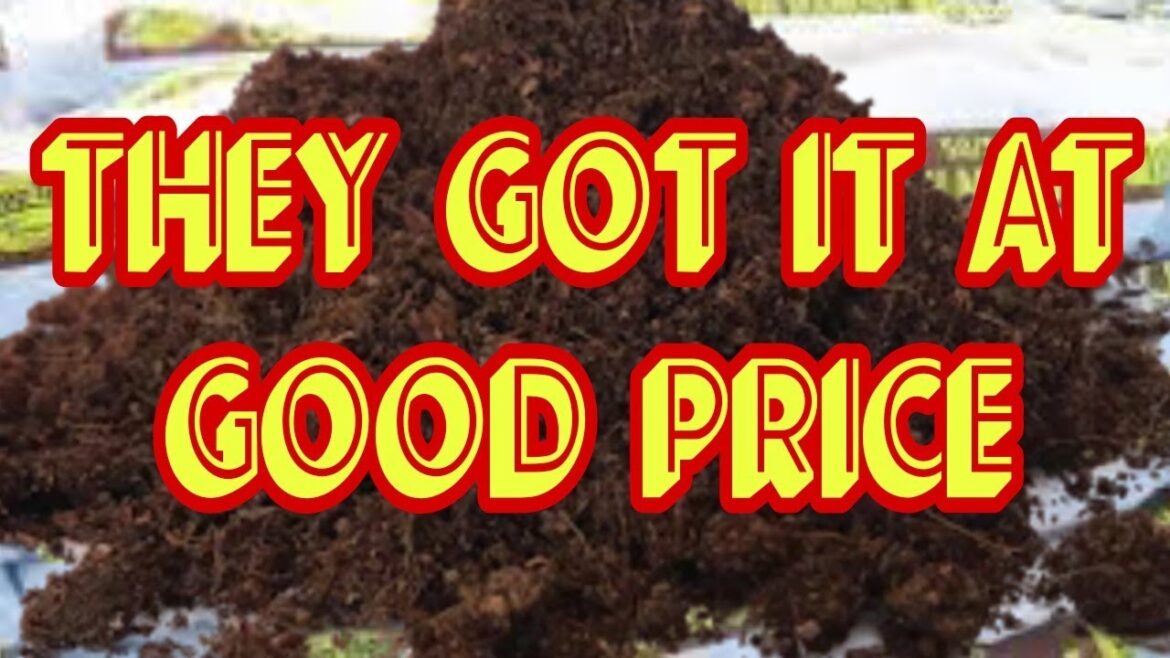 Cheap Dirt Alert| Roses' Garden Supplies