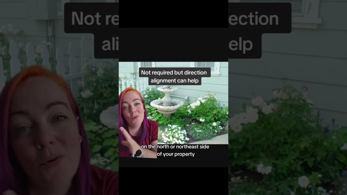 How to design a sustainable Moon garden