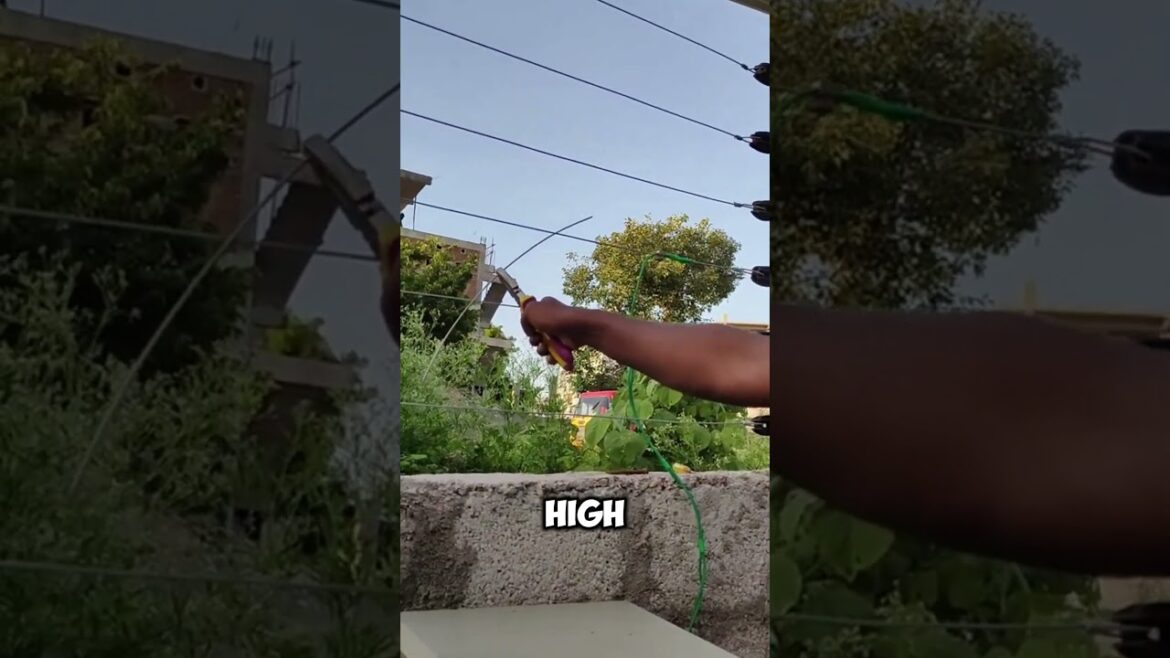 Why Solar Fencing is the Future of Security #solarfencing ##fencing #shots