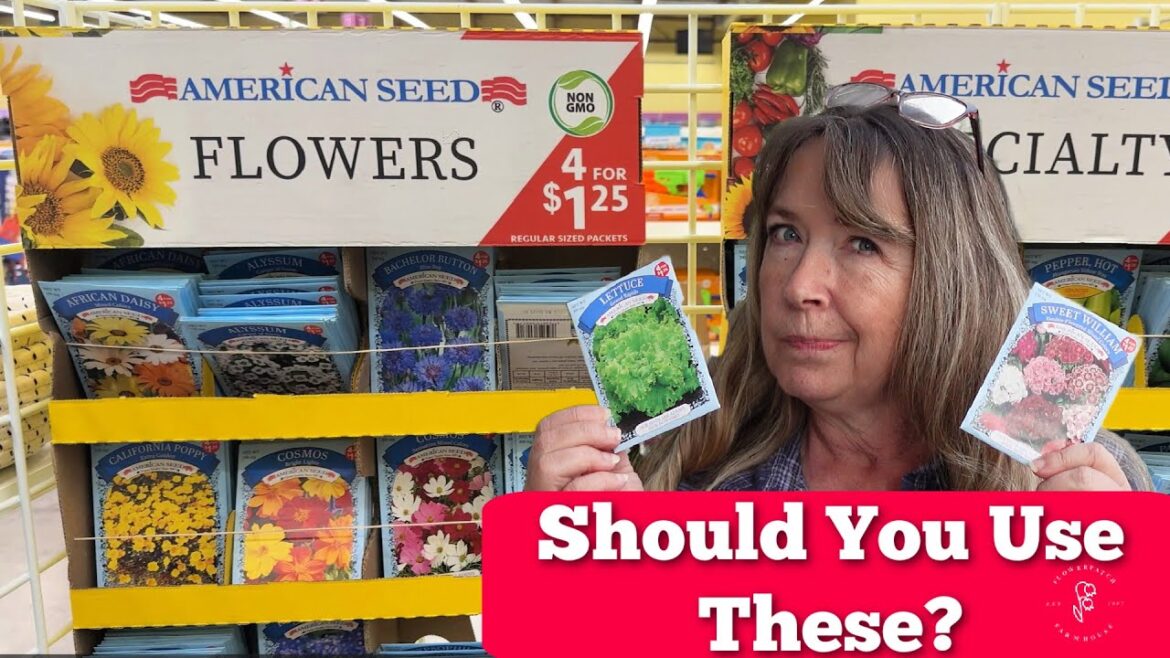 Dollar Tree Seeds – Are they Worth It? – Budget Gardening Tips Dollar Tree Seeds - Are they Worth It? - Budget Gardening Tips