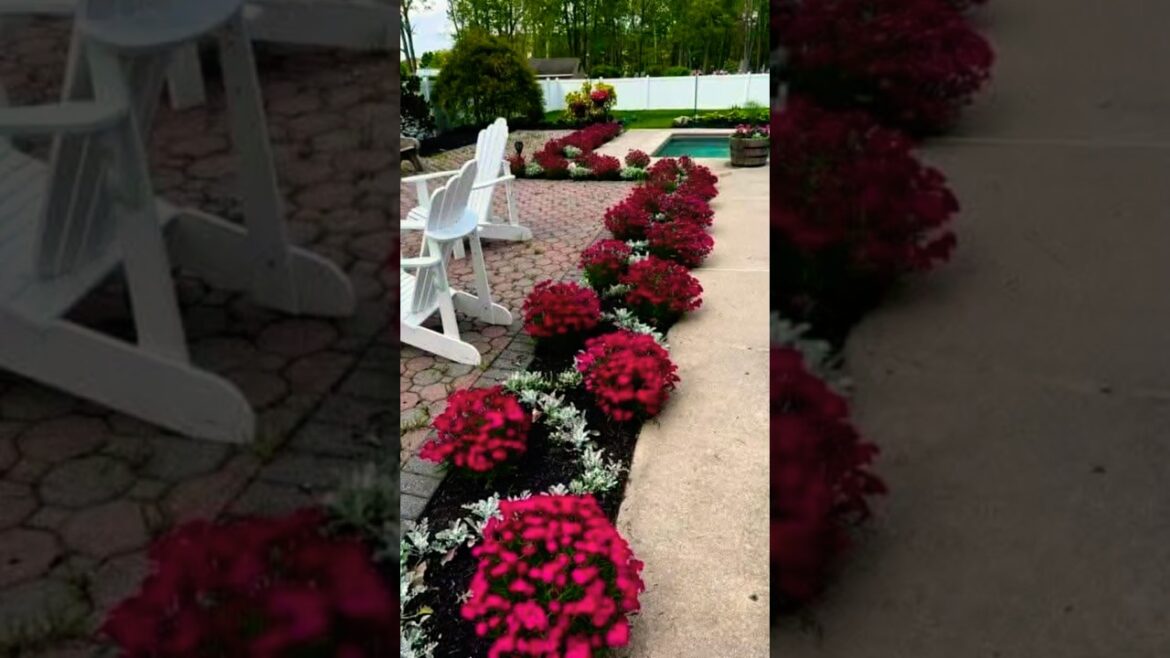 Entrance garden decor ideas 🌱🏡☘️🌴💕 #entrancedecor #homeentrance  #shorts #shortsfeed #trending